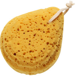 Eponge-de-bain.jpg Éponge de bain (weebaby)