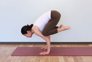 IMG_4789-thumb-300xauto-25539.jpg tapis de yoga