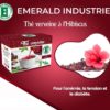THE-VERVAINE-HIBISCUS.jpg Thé verveine a l'hibiscus Emerald industrie