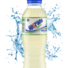 Upgrade L-CARNITA LIMON, (pack de 12 bouteilles de 0,5L)
