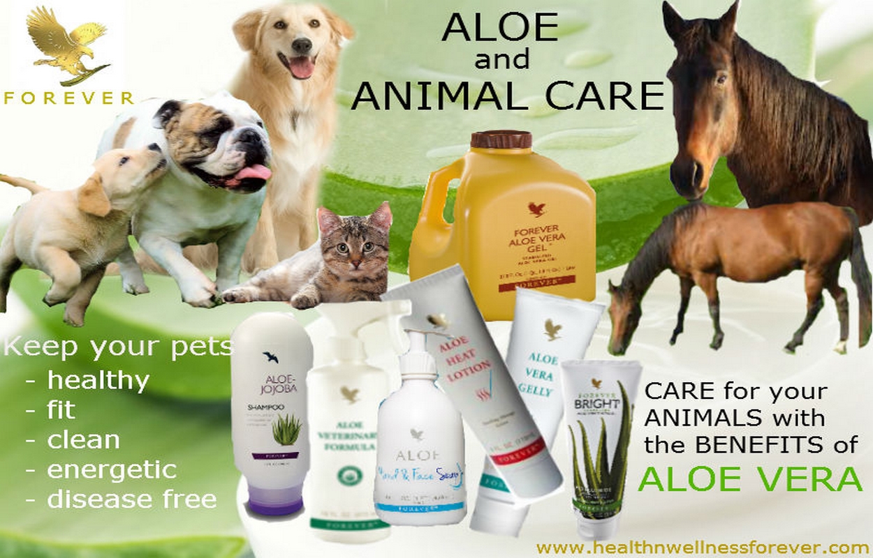 ALOE FORMULE VÉTÉRINAIRE