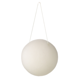 Avril Éponge konjac